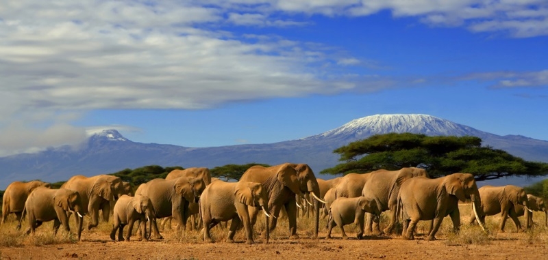 SAFARI POD TROPICKÝM SLUNCEM SAFARI POD TROPICKÝM SLUNCEM